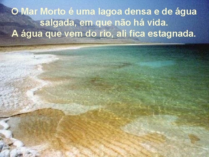 O Mar Morto é uma lagoa densa e de água salgada, em que não