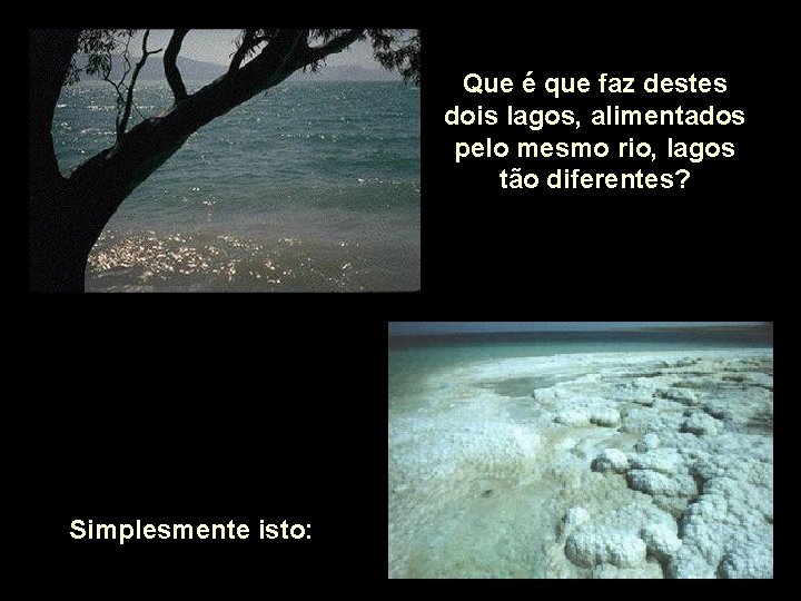 Que é que faz destes dois lagos, alimentados pelo mesmo rio, lagos tão diferentes?