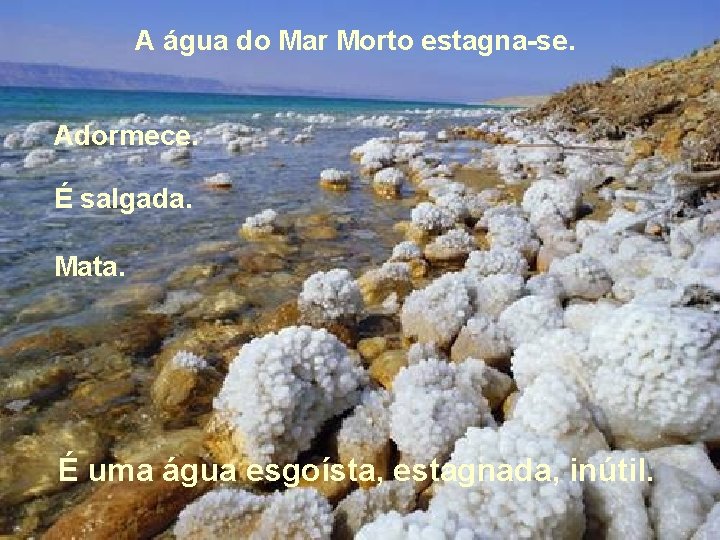 A água do Mar Morto estagna-se. Adormece. É salgada. Mata. É uma água esgoísta,