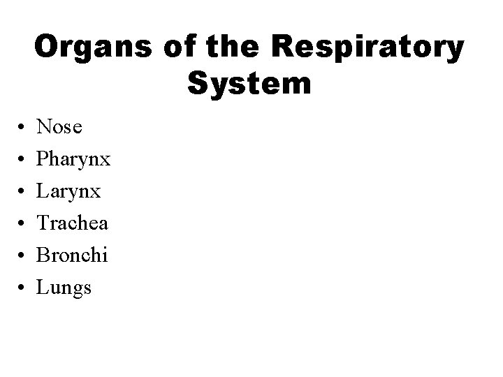 Organs of the Respiratory System • • • Nose Pharynx Larynx Trachea Bronchi Lungs