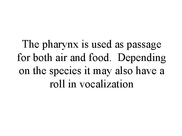 The pharynx is used as passage for both air and food. Depending on the