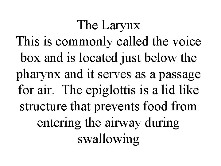 The Larynx This is commonly called the voice box and is located just below