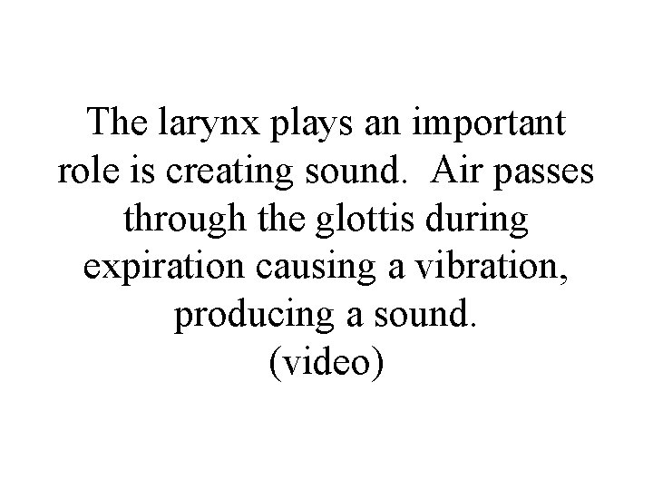 The larynx plays an important role is creating sound. Air passes through the glottis