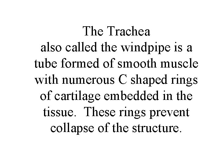 The Trachea also called the windpipe is a tube formed of smooth muscle with