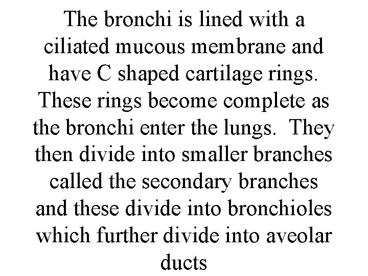 The bronchi is lined with a ciliated mucous membrane and have C shaped cartilage