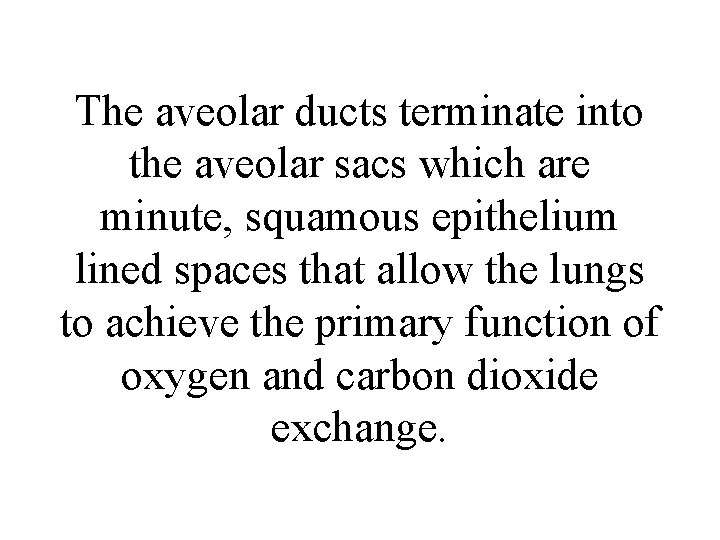 The aveolar ducts terminate into the aveolar sacs which are minute, squamous epithelium lined