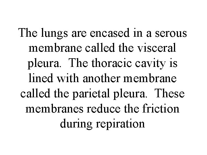 The lungs are encased in a serous membrane called the visceral pleura. The thoracic