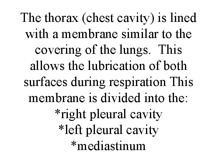 The thorax (chest cavity) is lined with a membrane similar to the covering of