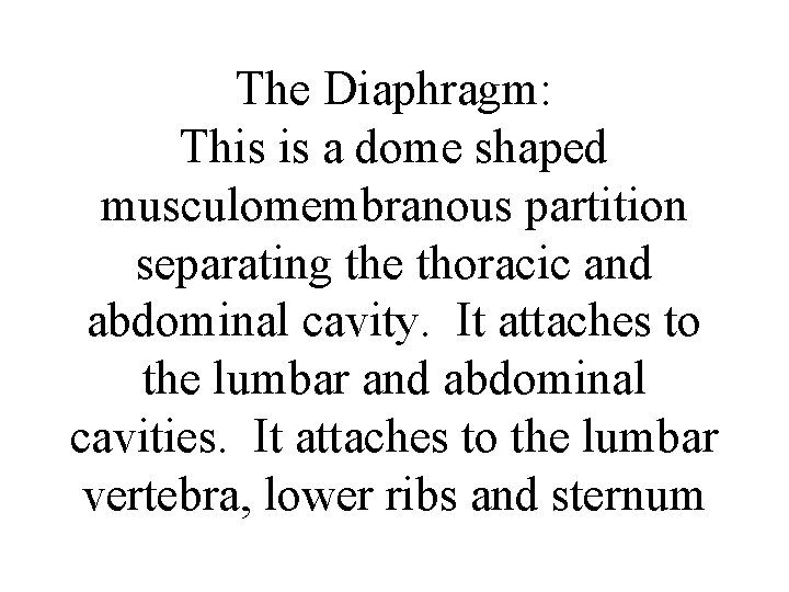 The Diaphragm: This is a dome shaped musculomembranous partition separating the thoracic and abdominal