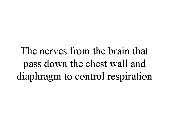 The nerves from the brain that pass down the chest wall and diaphragm to