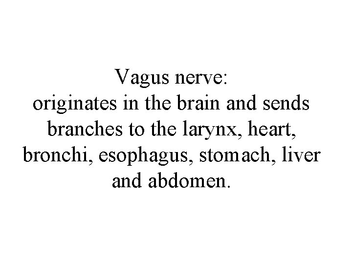 Vagus nerve: originates in the brain and sends branches to the larynx, heart, bronchi,