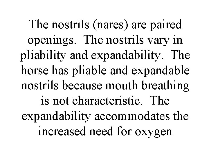 The nostrils (nares) are paired openings. The nostrils vary in pliability and expandability. The