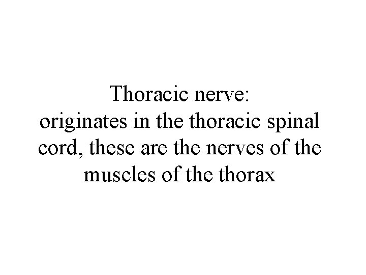 Thoracic nerve: originates in the thoracic spinal cord, these are the nerves of the