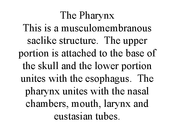 The Pharynx This is a musculomembranous saclike structure. The upper portion is attached to