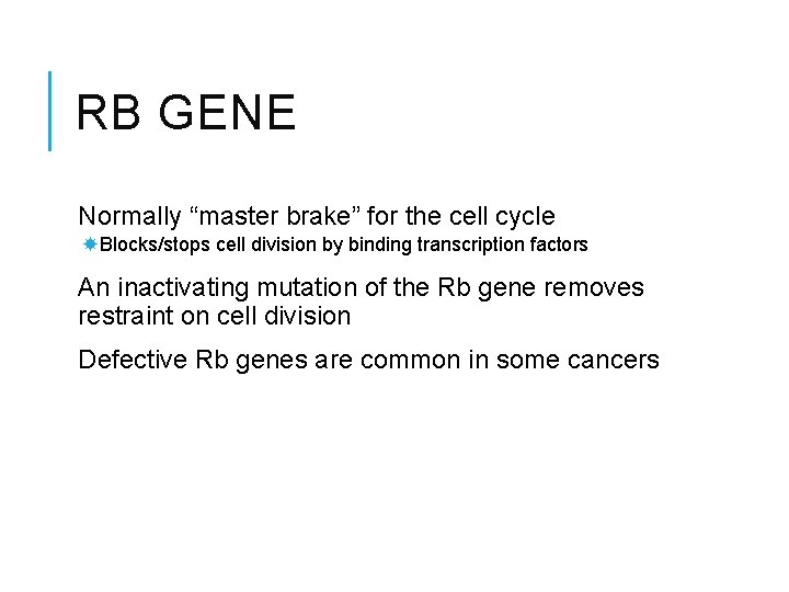 RB GENE Normally “master brake” for the cell cycle Blocks/stops cell division by binding