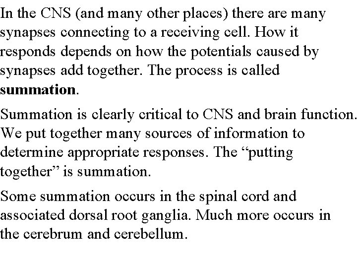 In the CNS (and many other places) there are many synapses connecting to a