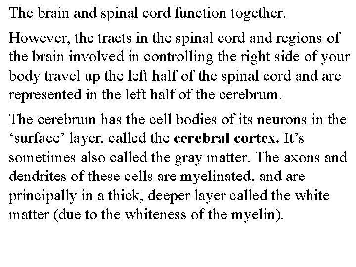The brain and spinal cord function together. However, the tracts in the spinal cord