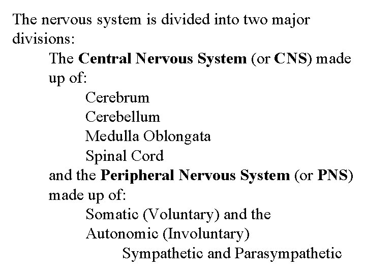 The nervous system is divided into two major divisions: The Central Nervous System (or