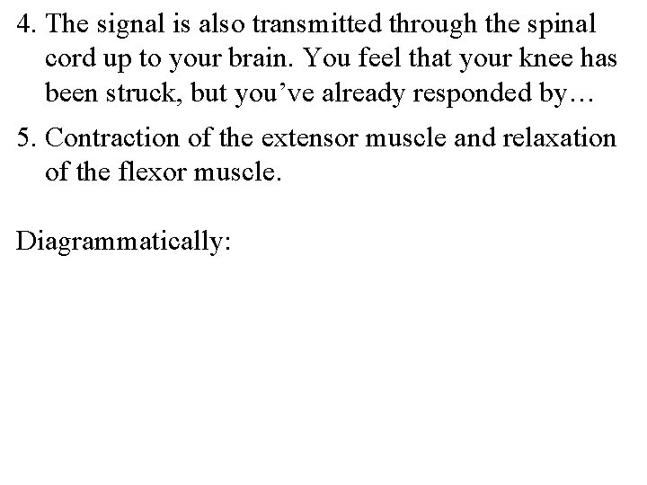 4. The signal is also transmitted through the spinal cord up to your brain.