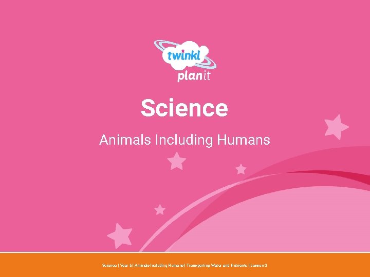 Science Animals Including Humans Year One Science | Year 6 | Animals Including Humans
