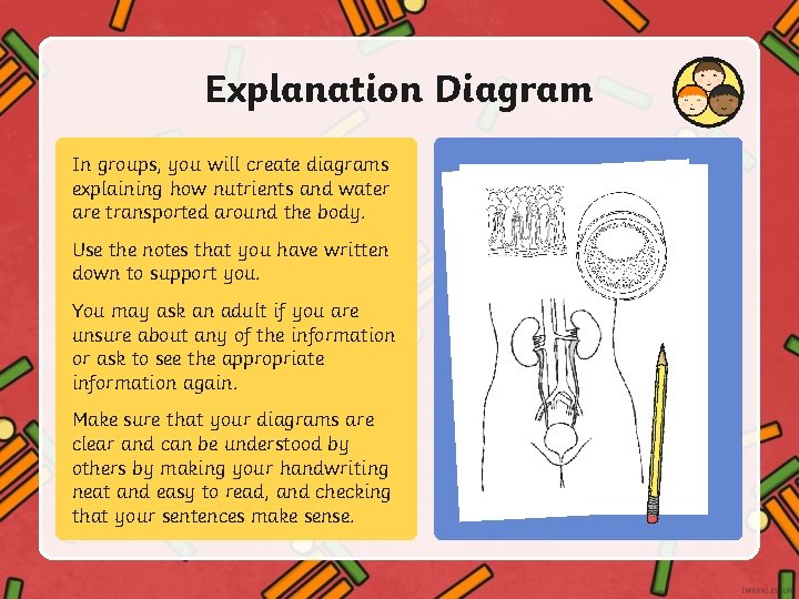 Explanation Diagram In groups, you will create diagrams explaining how nutrients and water are