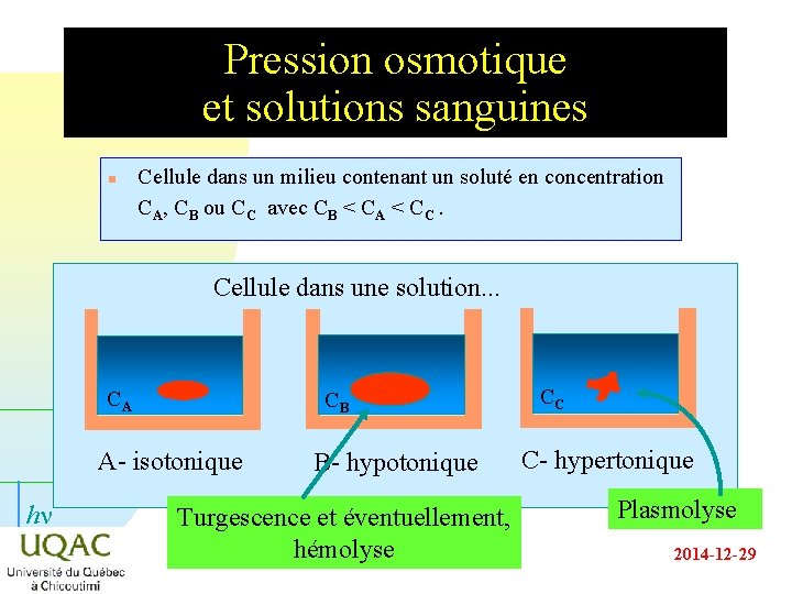 Pression osmotique et solutions sanguines n Cellule dans un milieu contenant un soluté en Pression osmotique et solutions sanguines n Cellule dans un milieu contenant un soluté en