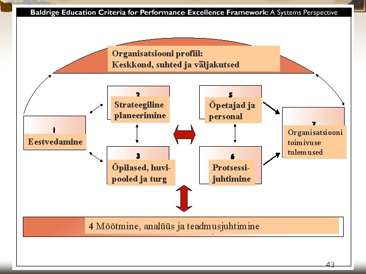 Organisatsiooni profiil: Keskkond, suhted ja väljakutsed Strateegiline planeerimine Õpetajad ja personal Organisatsiooni toimivuse tulemused