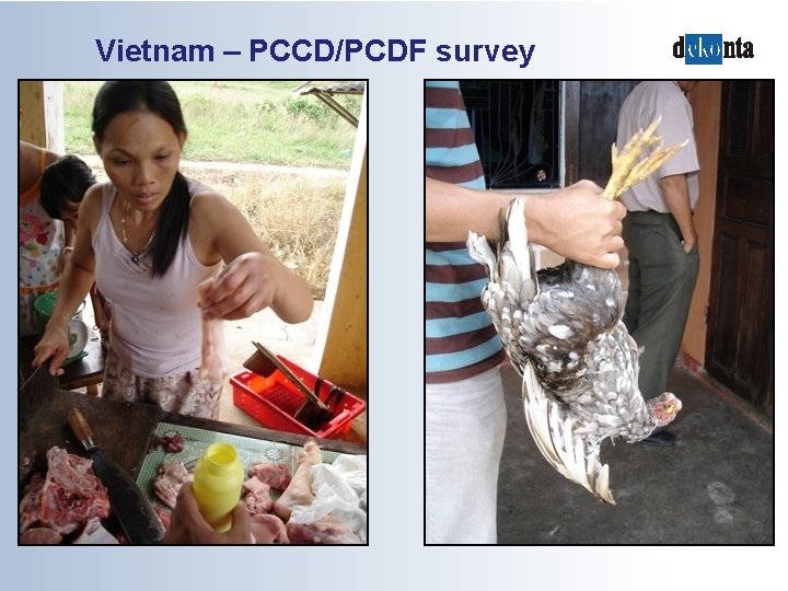 Vietnam – PCCD/PCDF survey 