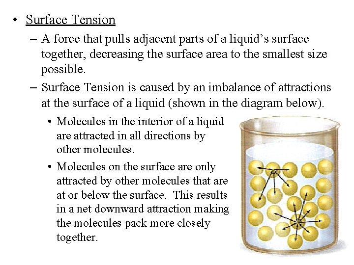 • Surface Tension – A force that pulls adjacent parts of a liquid’s • Surface Tension – A force that pulls adjacent parts of a liquid’s