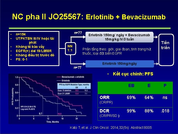 NC pha II JO 25567: Erlotinib + Bevacizumab • • • n=154 UTPKTBN III/IV