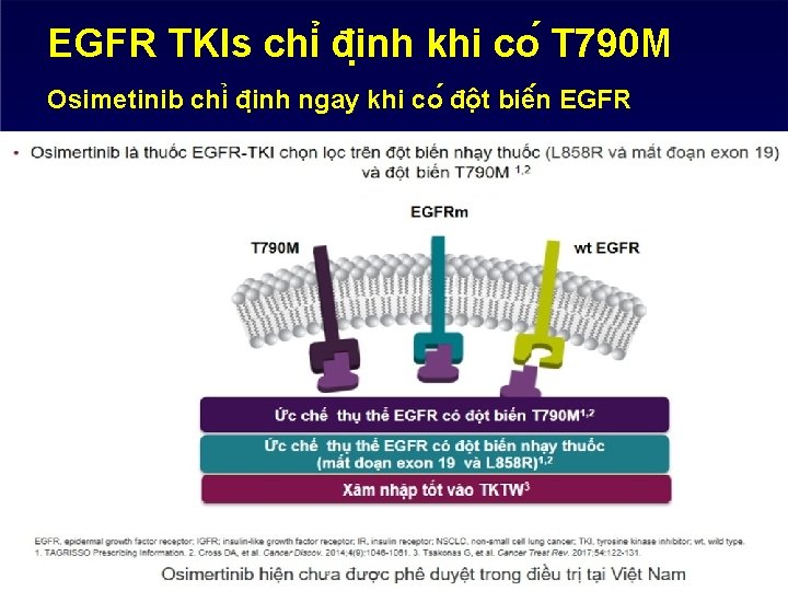EGFR TKIs chi đi nh khi co T 790 M Osimetinib chi đi nh