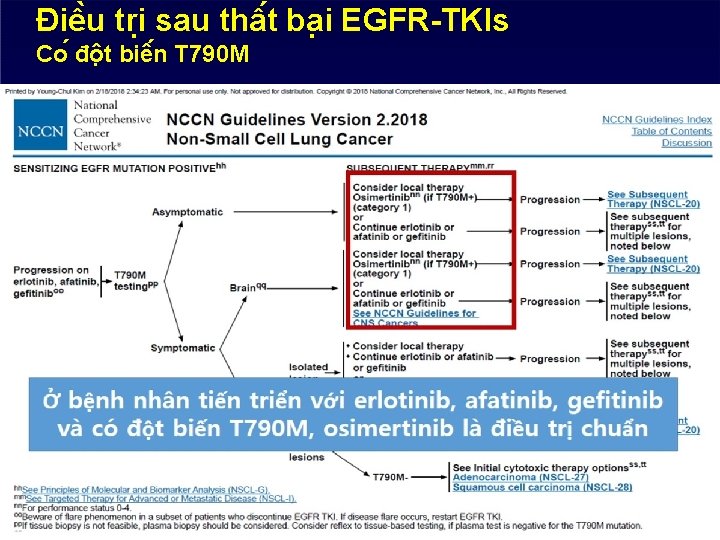 Điê u tri sau thâ t ba i EGFR-TKIs Co đô t biê n