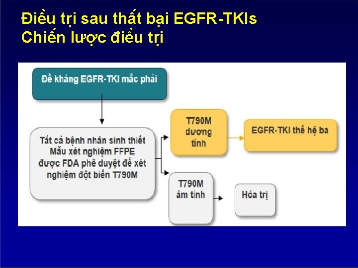 Điê u tri sau thâ t ba i EGFR-TKIs Chiê n lươ c điê