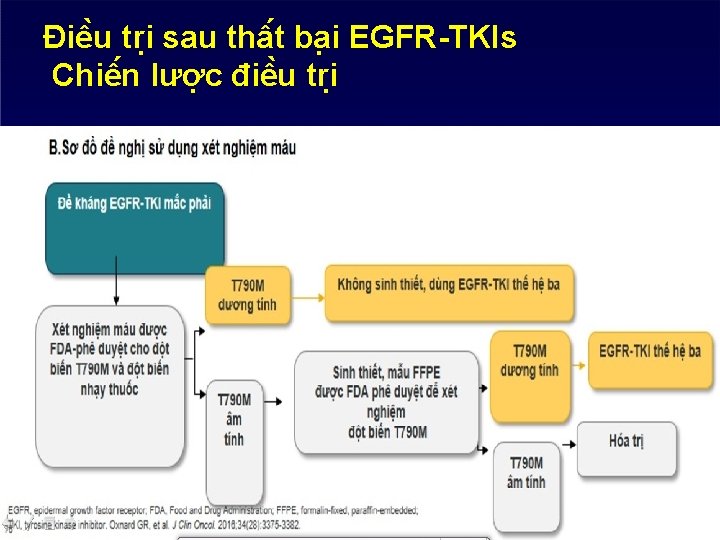Điê u tri sau thâ t ba i EGFR-TKIs Chiê n lươ c điê