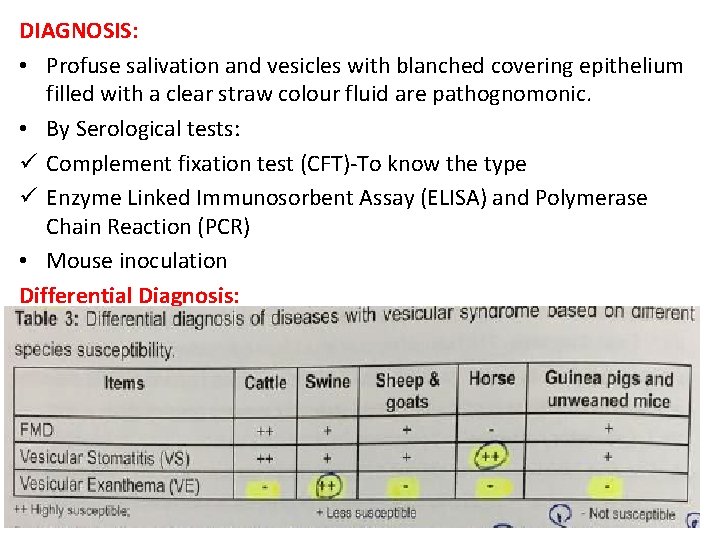 DIAGNOSIS: • Profuse salivation and vesicles with blanched covering epithelium filled with a clear