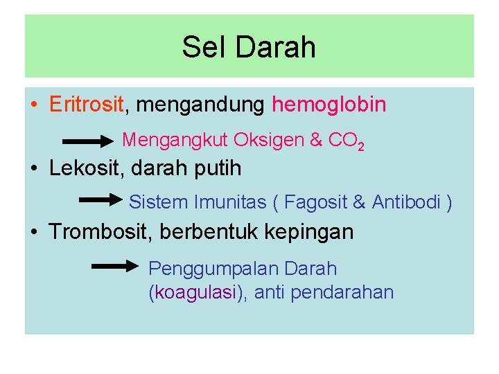 Sel Darah • Eritrosit, mengandung hemoglobin Mengangkut Oksigen & CO 2 • Lekosit, darah