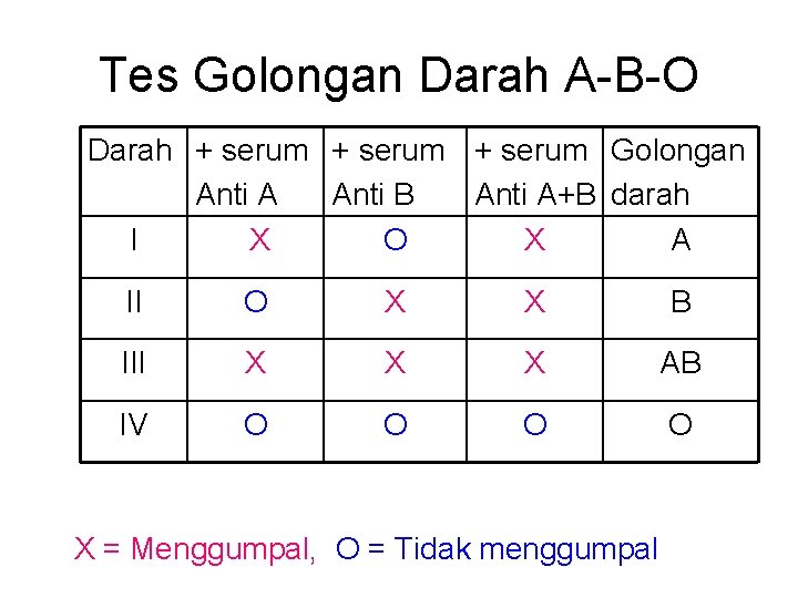 Tes Golongan Darah A-B-O Darah + serum Golongan Anti A Anti B Anti A+B