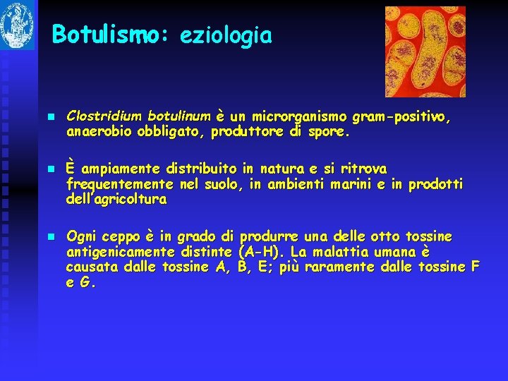 Botulismo: eziologia n n n Clostridium botulinum è un microrganismo gram-positivo, anaerobio obbligato, produttore