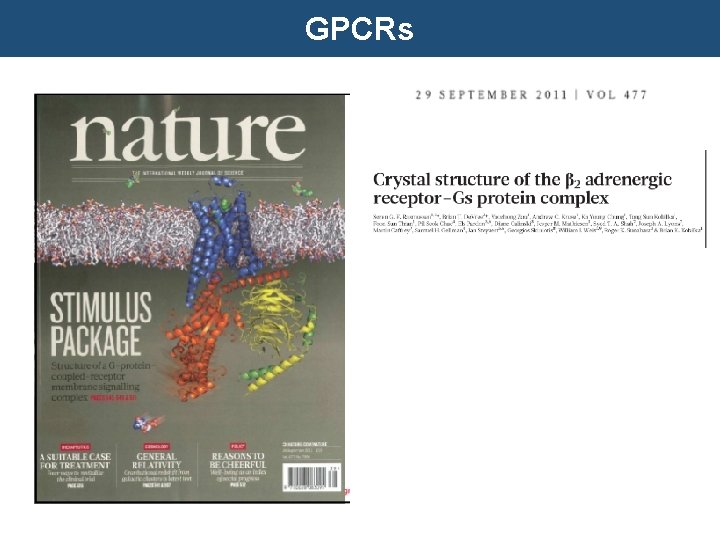 GPCRs 