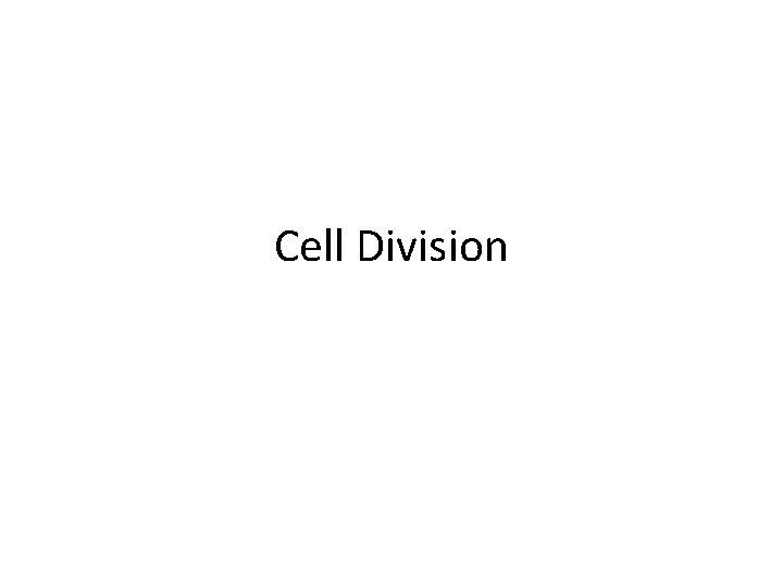 Cell Division 