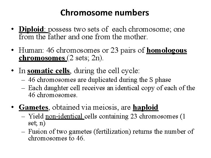 Chromosome numbers • Diploid: possess two sets of each chromosome; one from the father