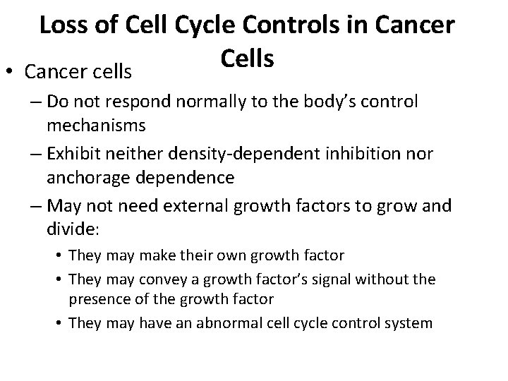 Loss of Cell Cycle Controls in Cancer Cells • Cancer cells – Do not