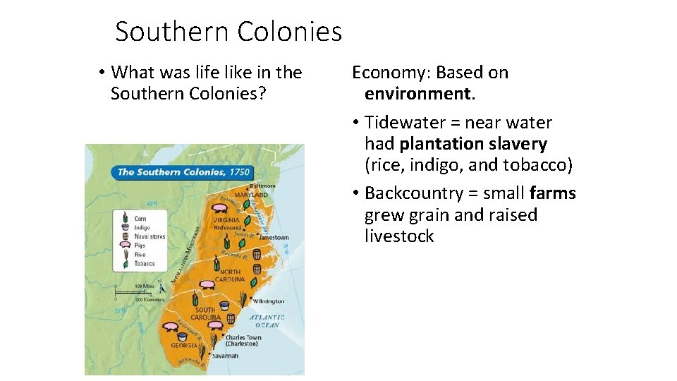 Southern Colonies • What was life like in the Southern Colonies? Economy: Based on