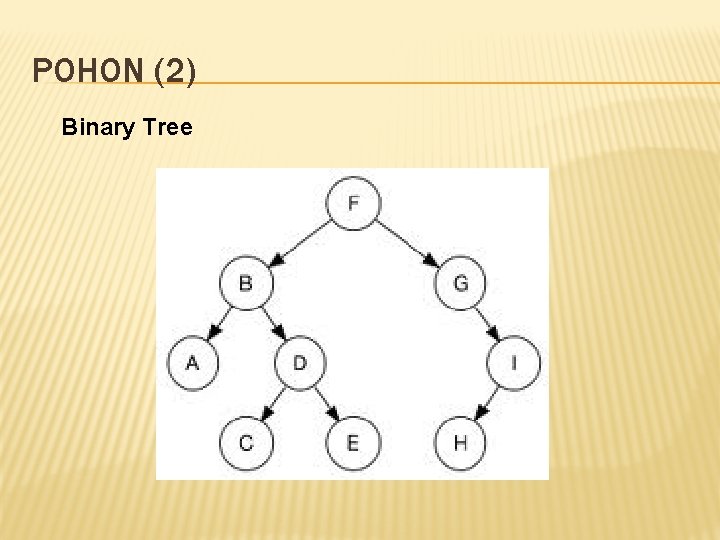 POHON (2) Binary Tree 