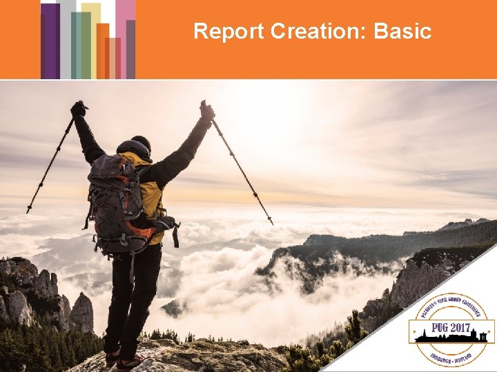 Report Creation: Basic 