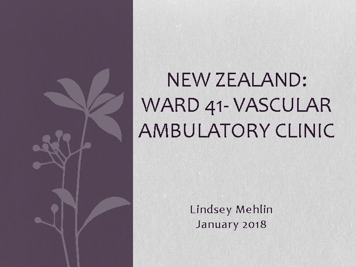 NEW ZEALAND: WARD 41 - VASCULAR AMBULATORY CLINIC Lindsey Mehlin January 2018 