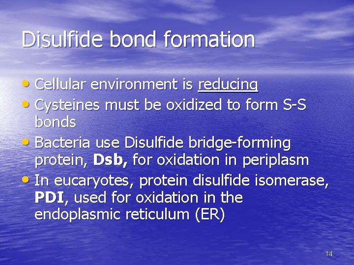 Disulfide bond formation • Cellular environment is reducing • Cysteines must be oxidized to Disulfide bond formation • Cellular environment is reducing • Cysteines must be oxidized to