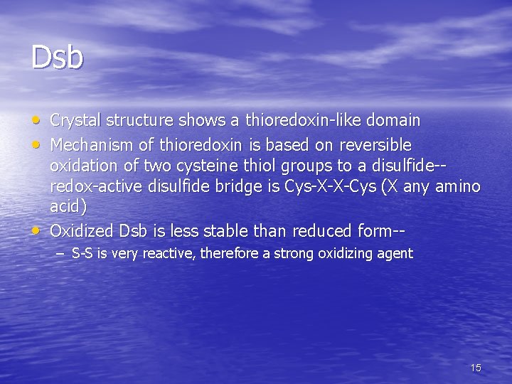Dsb • Crystal structure shows a thioredoxin-like domain • Mechanism of thioredoxin is based Dsb • Crystal structure shows a thioredoxin-like domain • Mechanism of thioredoxin is based