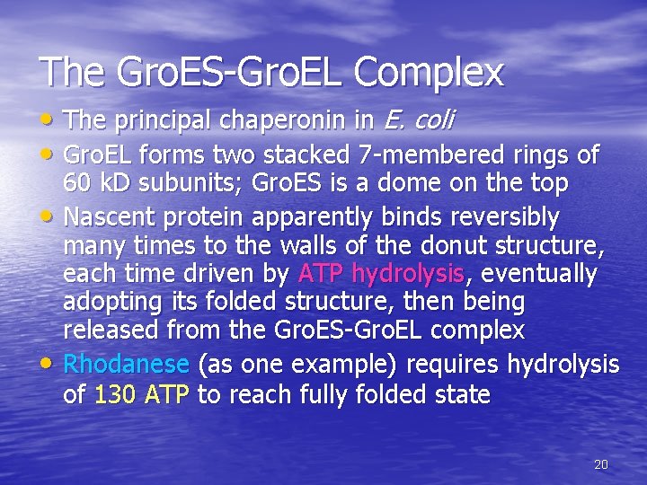 The Gro. ES-Gro. EL Complex • The principal chaperonin in E. coli • Gro. The Gro. ES-Gro. EL Complex • The principal chaperonin in E. coli • Gro.