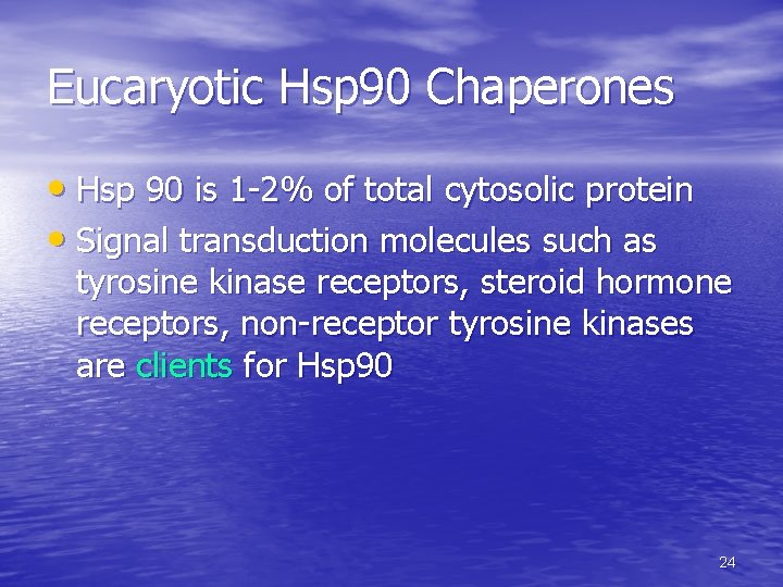 Eucaryotic Hsp 90 Chaperones • Hsp 90 is 1 -2% of total cytosolic protein Eucaryotic Hsp 90 Chaperones • Hsp 90 is 1 -2% of total cytosolic protein